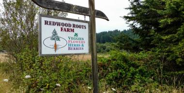 link to full image of Redwood Roots Farm sign