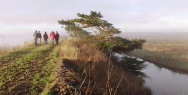 link to full image of Arcata Marsh Levy Trail 1