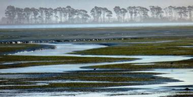 link to full image of Arcata Marsh and Bay