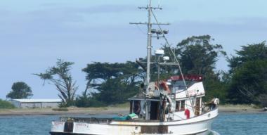 link to full image of Humboldt Bay 2