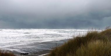 link to full image of Arcata - Mad River Beach Dunes