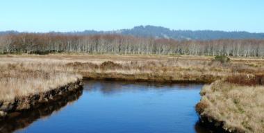 link to full image of Humboldt Bay Salmon Creek HBNWR 5