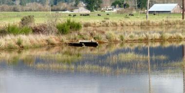 link to full image of Slough Arcata Bay 4