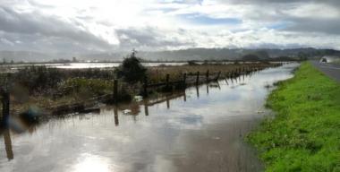 link to full image of Slough Arcata Bay 7