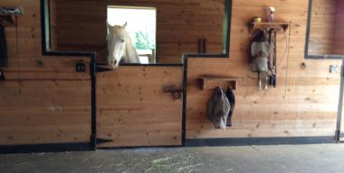 Interior Horse Barn