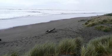 link to full image of Arcata Mad River Dune 2