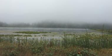 link to full image of GD Pond, foggy 1