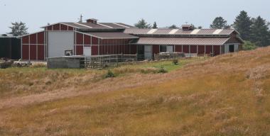 link to full image of Ranch Buildings