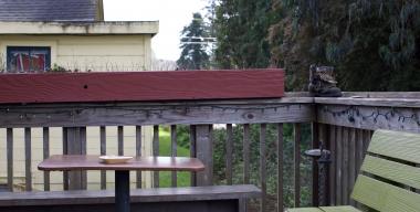link to full image of Logger Bar back patio