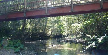 link to full image of Dunaway Ranch - Bridge across creek