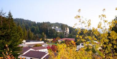link to full image of View of Campus