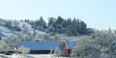 link to full image of Winter scene