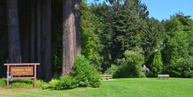 link to full image of Arcata Park