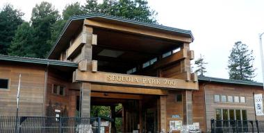 link to full image of Sequoia Zoo